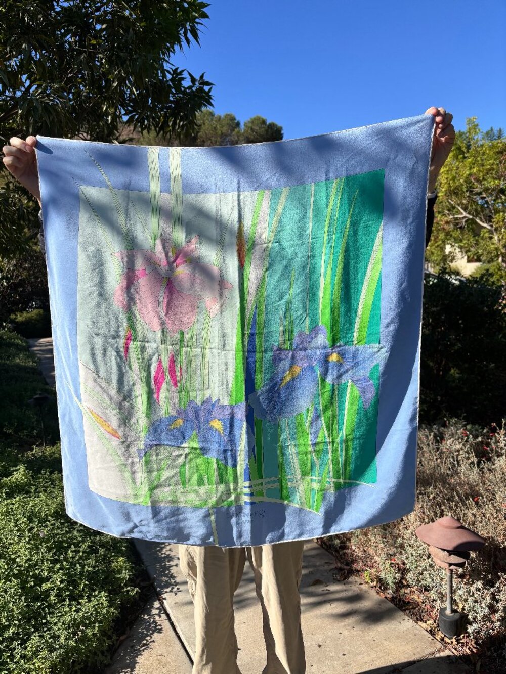 Leonard Paris silk scarf - iris floral pattern with border